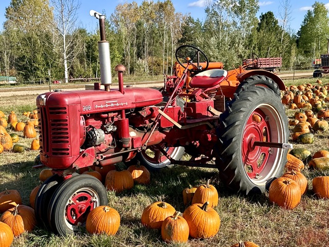 red farmall tractor